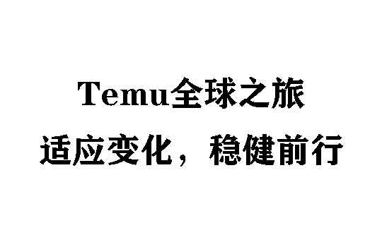 Temu全球之旅:适应变化,稳健前行