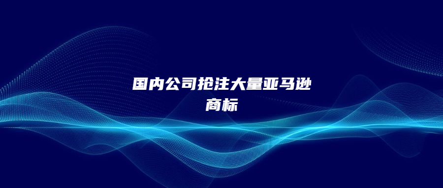 国内公司抢注大量亚马逊商标