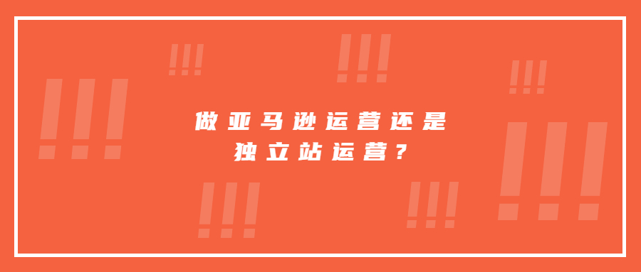 做亚马逊运营还是独立站运营?分别要做些什么?