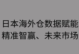 日本海外仓数据赋能：精准智赢未来市场
