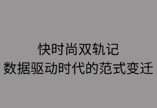 快时尚双轨记：数据驱动时代的范式变迁
