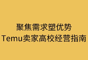 聚焦需求塑优势：Temu卖家高效经营指南