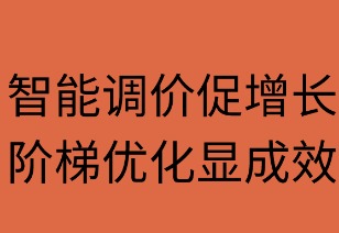 智能调价促增长 阶梯优化显成效