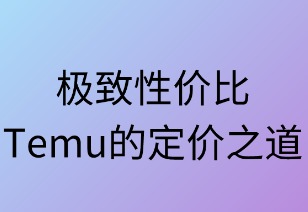 极致性价比：Temu的定价之道