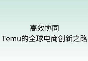 高效协同：Temu的全球电商创新之路