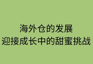 海外仓发展：迎接成长中的甜蜜挑战