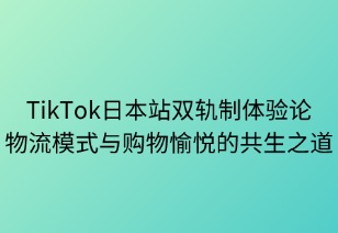 双轨体验论：物流模式与购物愉悦的共生之道