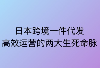 日本跨境一件代发：高效运营的两大生死命脉