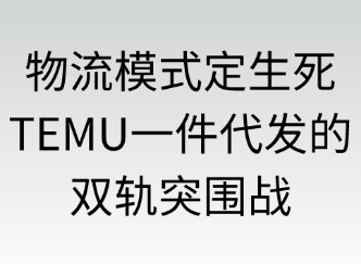 物流模式定生死：TEMU一件代发的双轨突围战