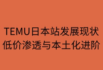 TEMU日本站 的基本情况