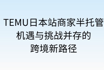 TEMU日本站商家半托管模式