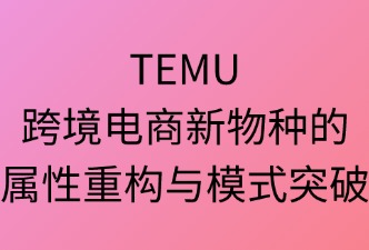 TEMU跨境电商平台的属性是什么？
