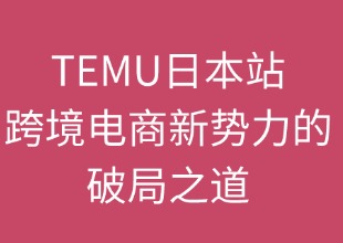 TEMU日本站的竞争优势