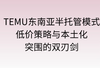 TEMU半托管模式