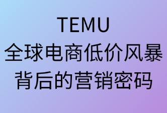 Temu的发展与营销