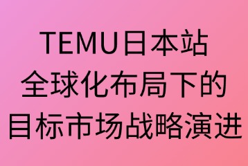 TEMU平台的目标市场