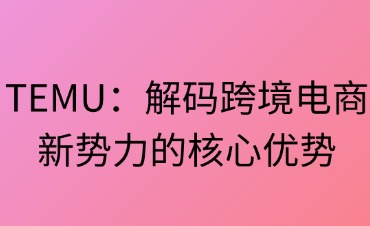 TEMU：跨境电商新势力