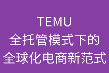 TEMU：全球化电商新范式